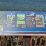 Point of view signs - Bair Island