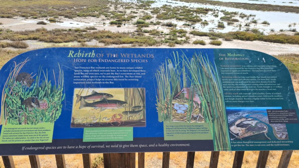 Point of view signs - Bair Island