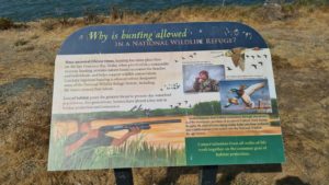 Why hunting is allowed sign - Bair Island