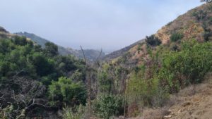 The look to the ocean from the hot springs canyon