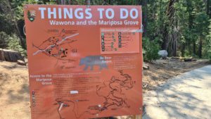 Things to do on Wawona and Mariposa grove - Sequoia trees