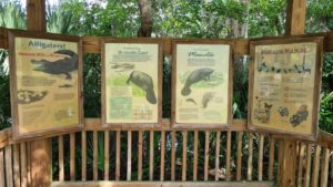 A sign on the animals in the river - alligators 🐊 and mantles 🦭 (have'nt seen none of them) - Blue Spring