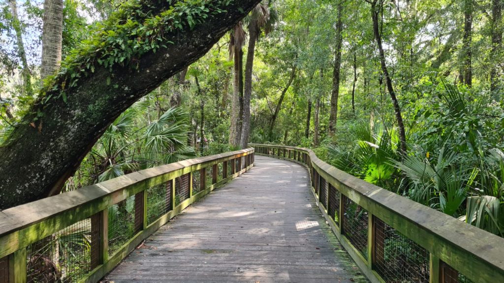 The trail wood bridge - Blue Spring