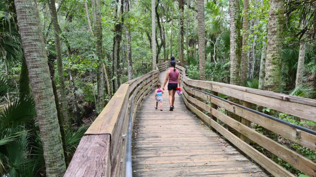 The trail wood bridge - Blue Spring