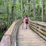 The trail wood bridge - Blue Spring