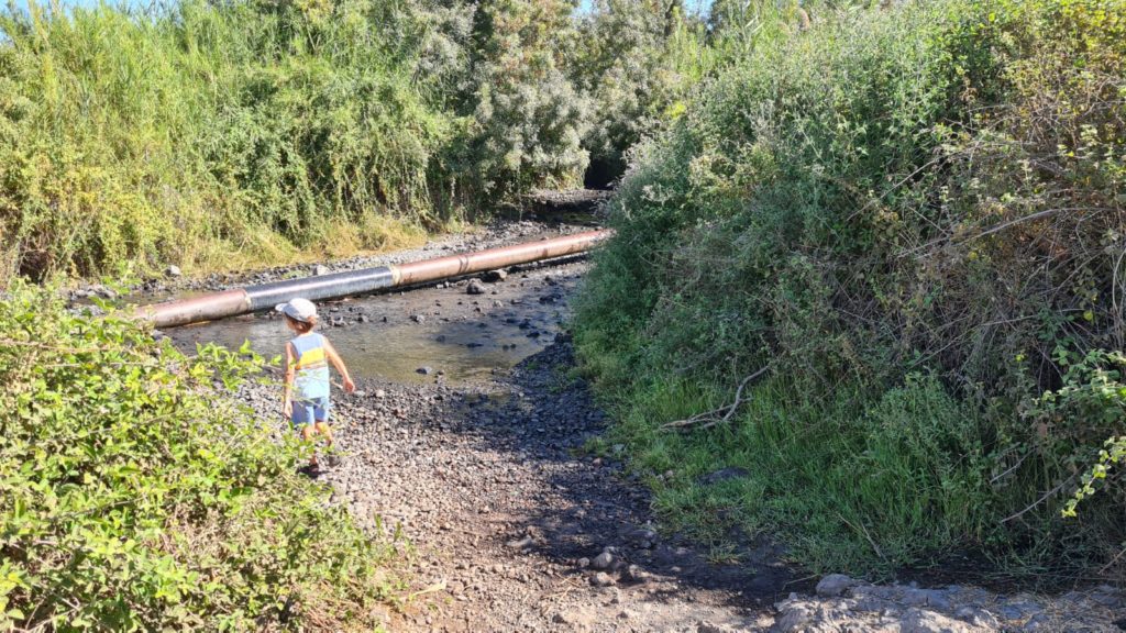 Jannaeus with the stream. The trail was clear, although when we just got there a family insisted on walking through the bushes..