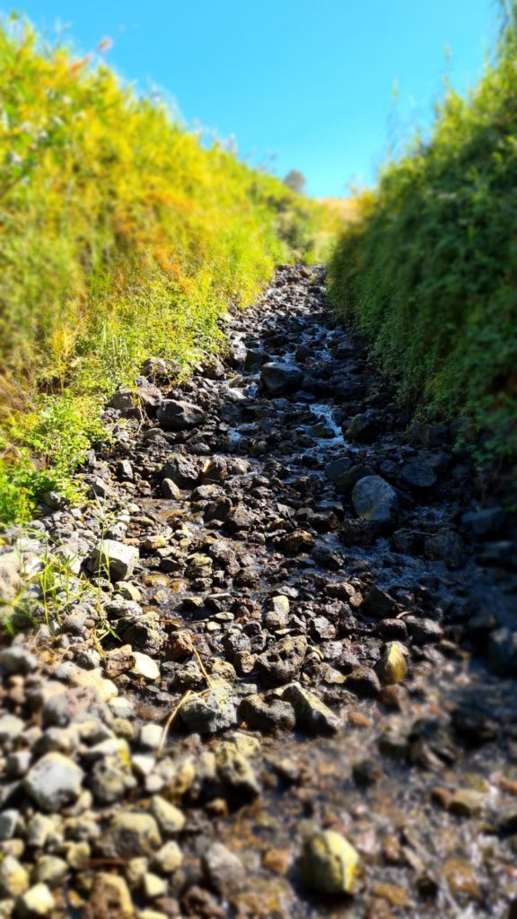 Climbing up the cascades