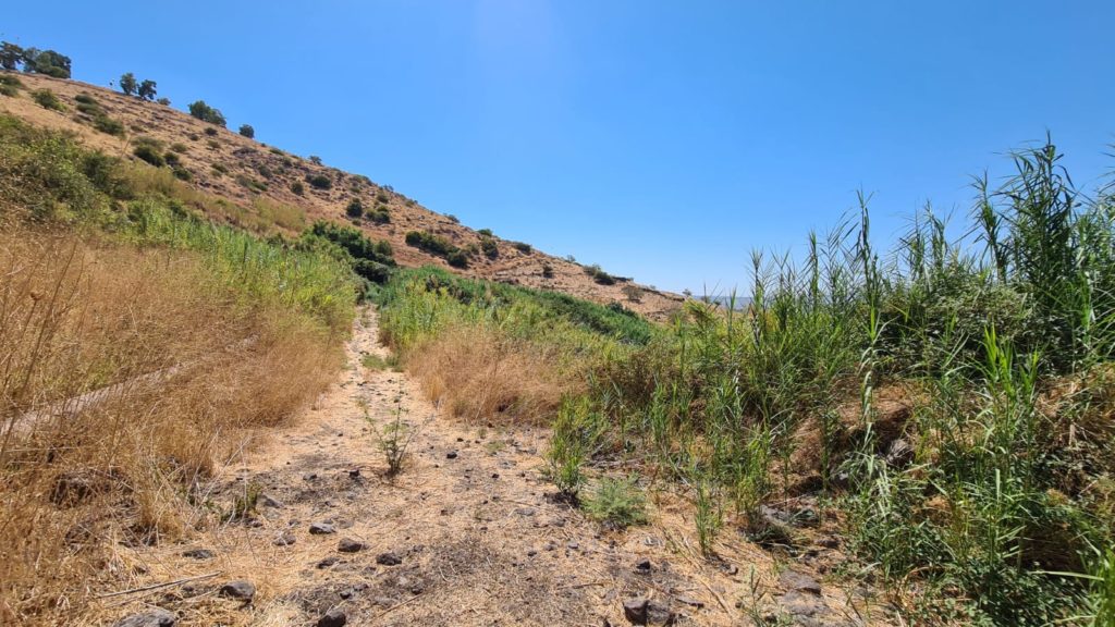 Looking South to the ruins of the Syrian Village.