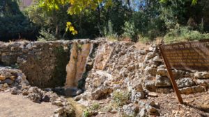 The spring area - Abu Kabir