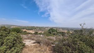 Looking North on Judean lowlands toward Beit Shemesh