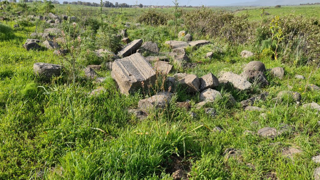 Stone cravings with Jewish motifs.