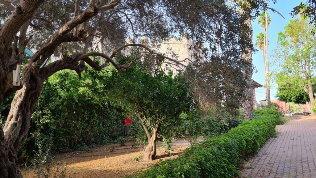 The Aaronsohn Residence - Nili Museum - Zikhron Ya'akov