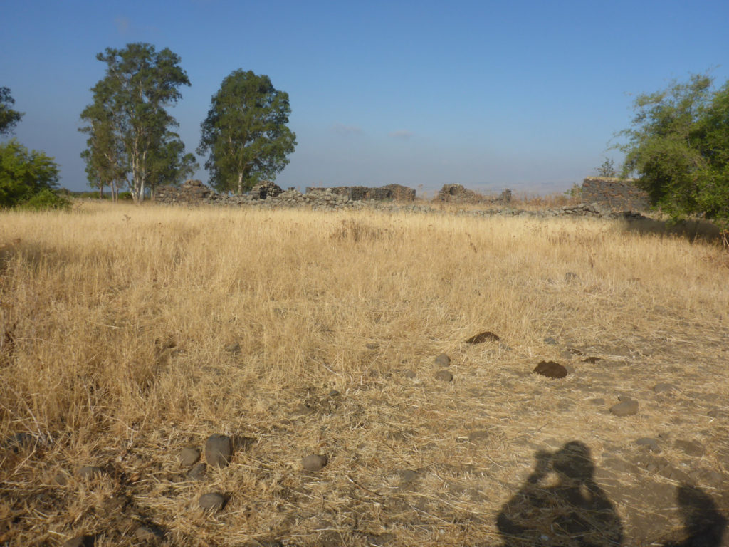 The remains of Seikh Hussein Syrian village