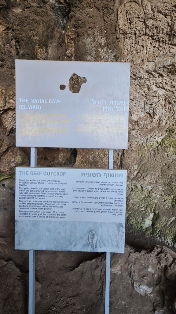 El Wad (Nahal) cave and the video at the end