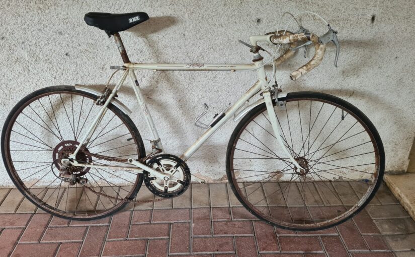 My pair of Raleigh Stolen bicycles