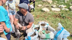 Digging and planting cyclamen that were pull up from a land near Elad, that will soon be covered with new industry area - Migdal Tsedek