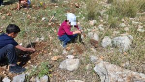 Jannaeus planting one - Migdal Tsedek