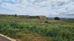 Additional kilns and the Concrete Giant remains - Migdal Tsedek