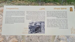 Cooperation between Arabs and Jews working in the quarry and the kilns - Migdal Tsedek