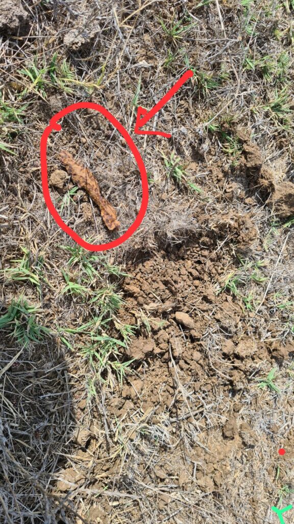 In this case, we found a sharpanel of a mortar shell or a tank (in the red circle). If we would have found a bomb that did not explode we would have blast it (at the moment or later)