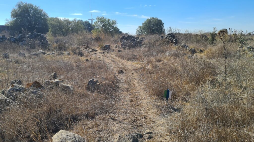 The short walk in the ruins is part of Golan trail