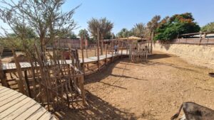 The wooden bridge in the middle of the farm to cross it from side to side