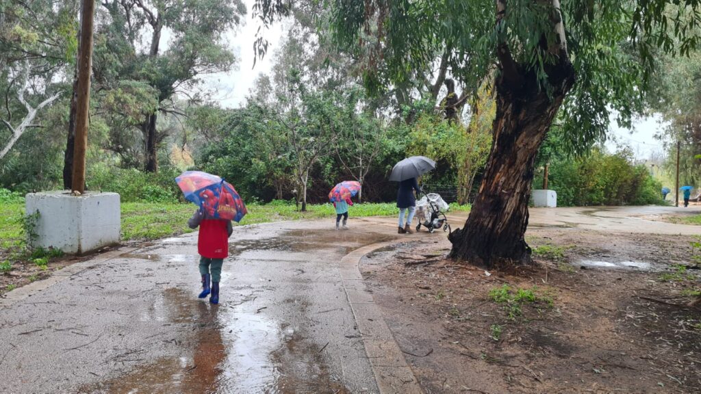 A Sabbath afternoon hike with the kids on the rain to 7 mills - it's raining