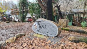 In the entrance to the place stands a rock with a text describe the story of Yuki Avishay , the founder of Dag AlHdan