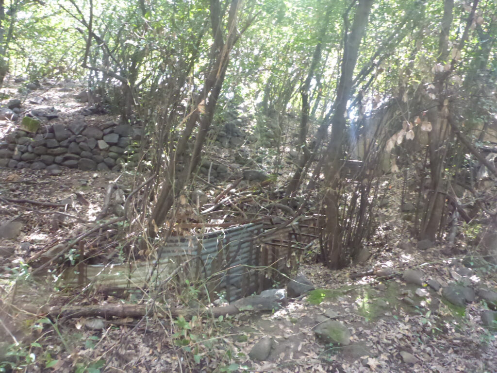 Fighting tunnels along hiking route. Those are from the time before the Six Day War, when the border between Israel and Syria was below the Tel.