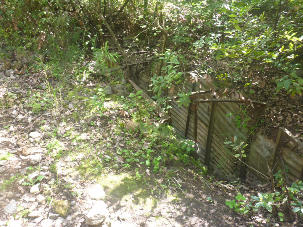 Fighting tunnels along hiking route. Those are from the time before the Six Day War, when the border between Israel and Syria was below the Tel.