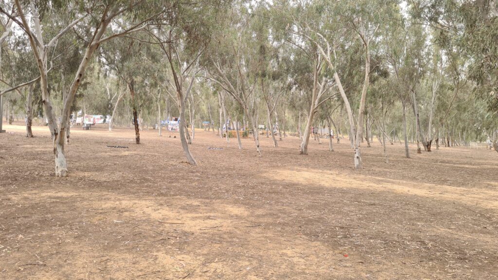 Personal memorial corners are scattered in the forest around the main site