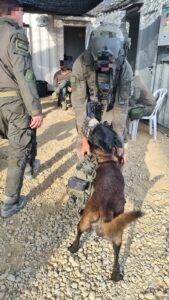 The Oketz unit dog that helped to open the route to dock every morning. Yep, there is a threat Hamas terror organization will try to bomb the dock. Yes, the dock that used to supply humanitarian aid to the Palestinians in Gaza strip might be sabotaged by the terror organization that claims to help them JLOST