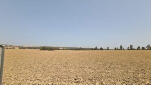 The fruitful fields between Be'eri and Nahabir 