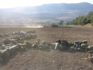 Our squadron military equipment packed and ready to go, while the tractor is harvesting the field of Hula Valley