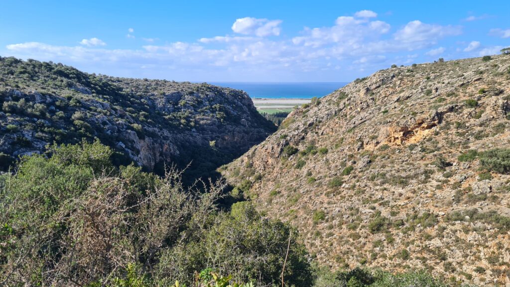 Looking west from the top of the mountain, where the blue trail took us, over Nahal Sfunim and the sea 