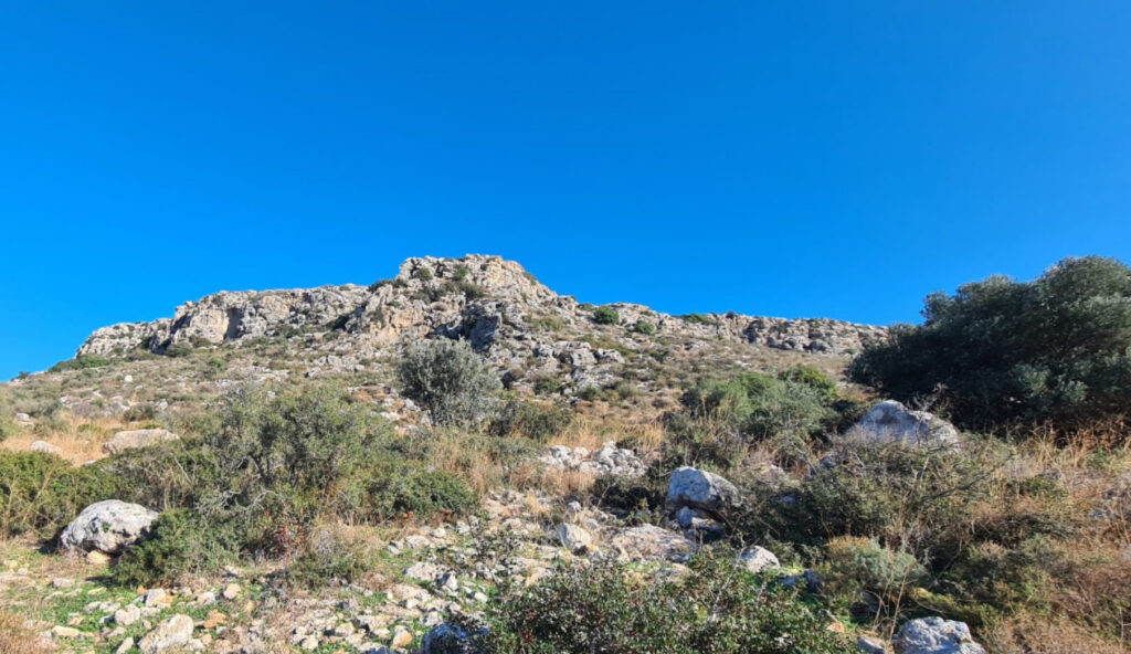 Looking up on the cliff of mount Carmel, where the Gyps nests