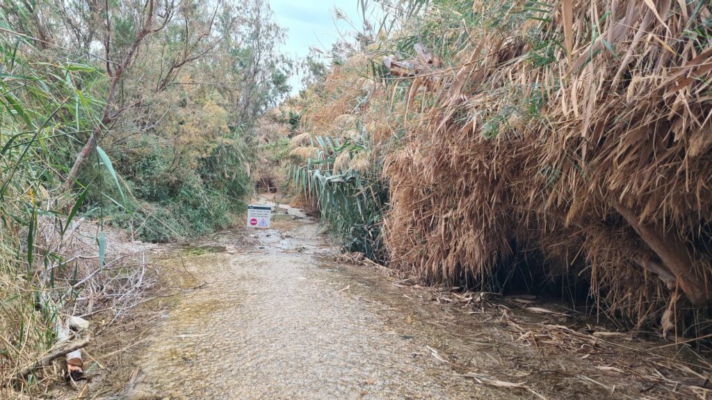 You need to step out from the water for a small walk in the middle - Bokek