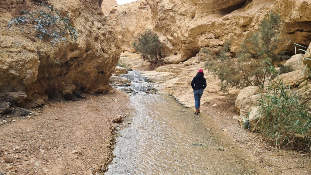 Atzva walking in the water - Bokek