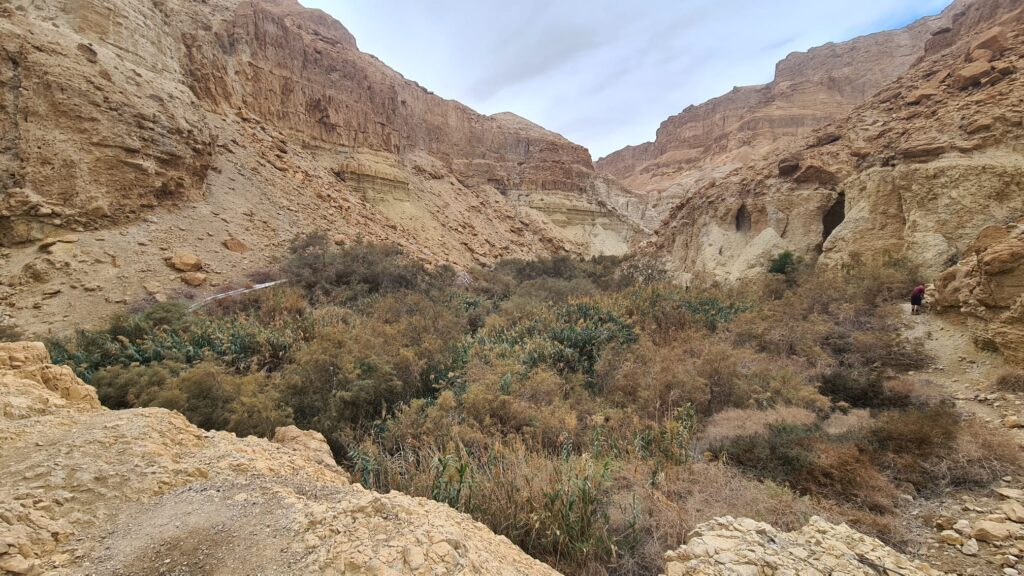 Looking on the stream from the top of the cliff